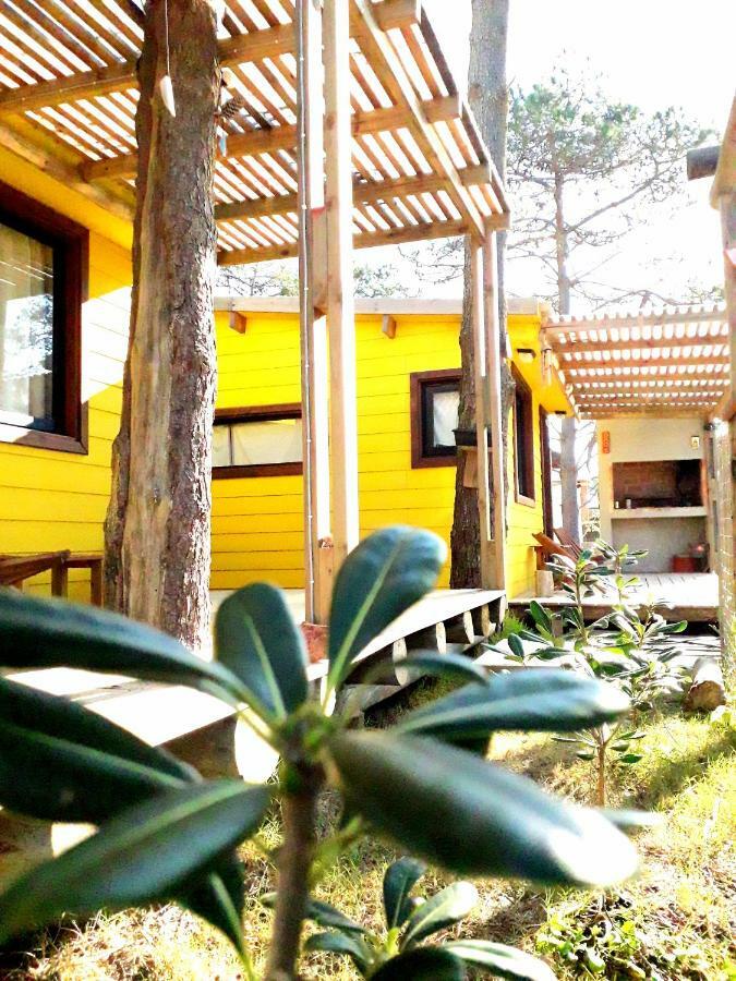 Villa Diabro'S Punta Del Diablo Exterior foto